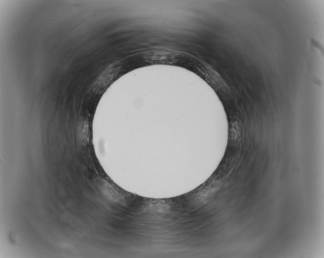 X0000099430820200805090725
