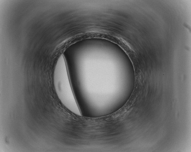 X0000099430821200805090725