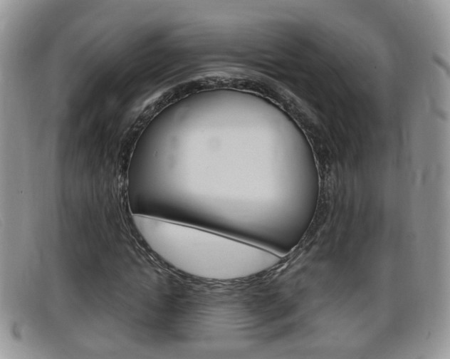 X0000099430822200805090725