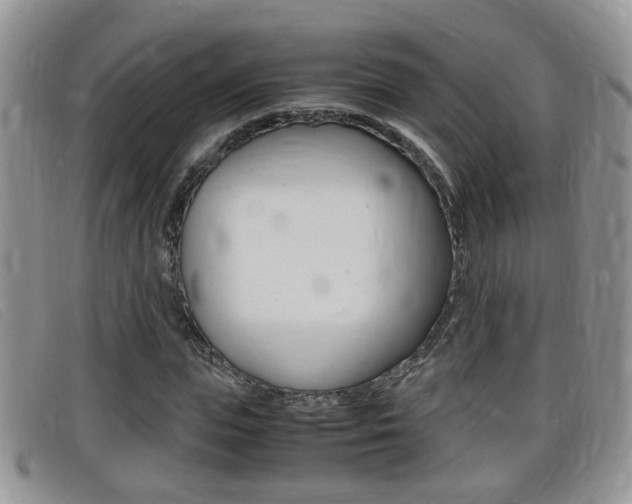 X0000099430823200805090725