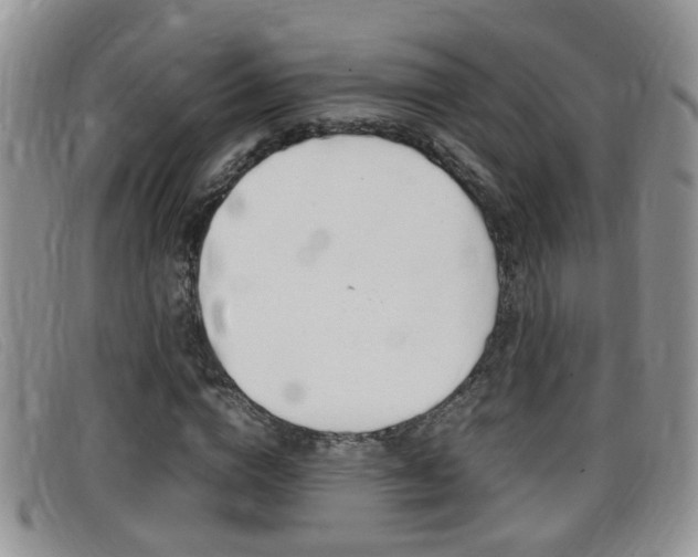 X0000099430824200805090725