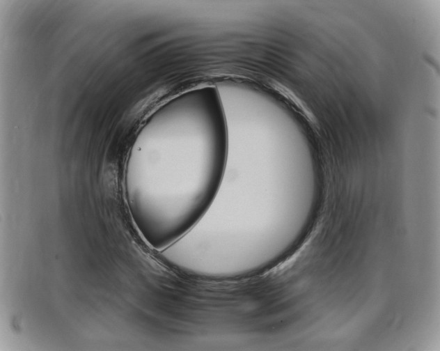 X0000099430825200805090725