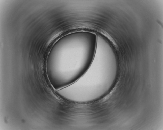 X0000099430826200805090725