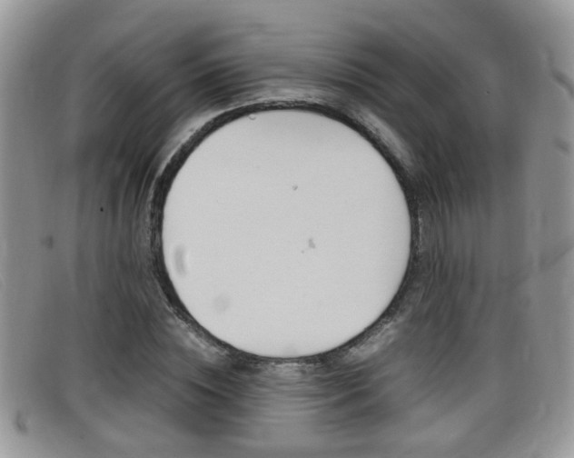 X0000099430828200805090725