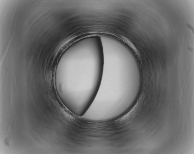 X0000099430831200805090725