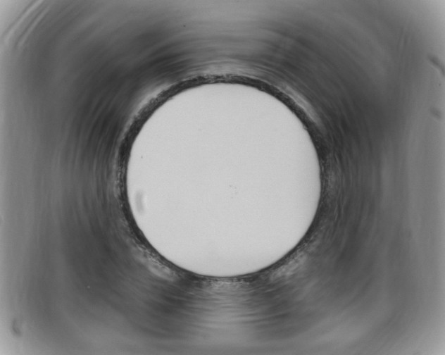 X0000099430832200805090725