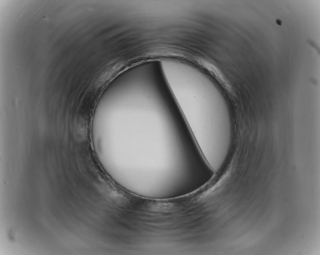 X0000099430833200805090725