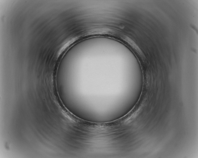X0000099430834200805090725