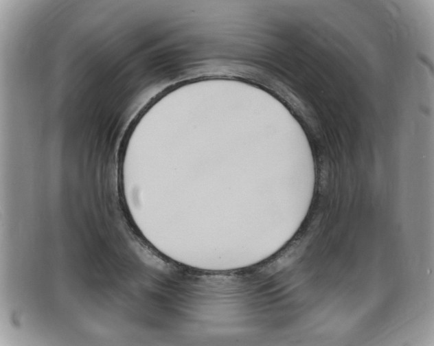 X0000099430836200805090725