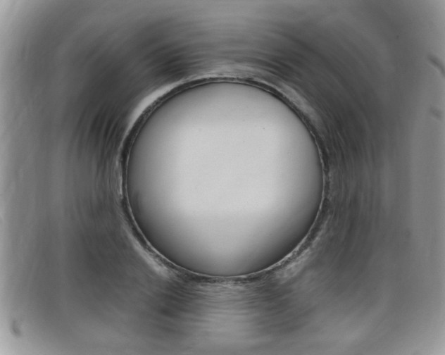 X0000099430838200805090725