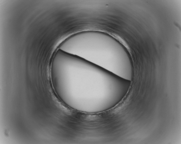 X0000099430839200805090725