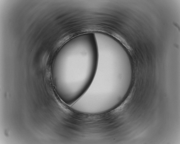 X0000099430841200805090725