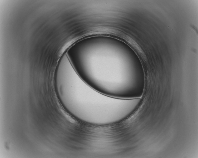 X0000099430842200805090725