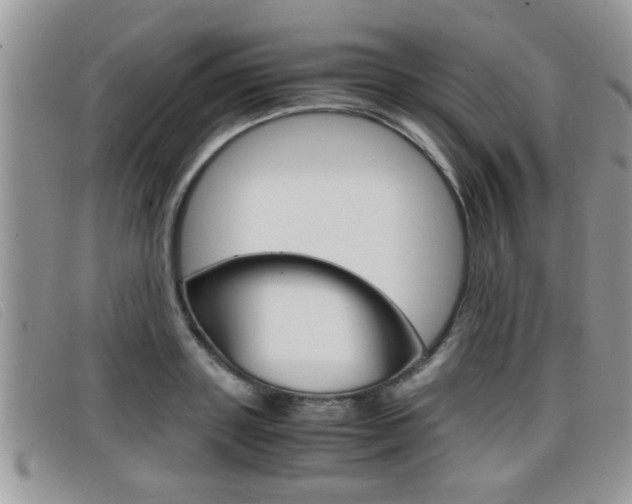 X0000099430843200805090725