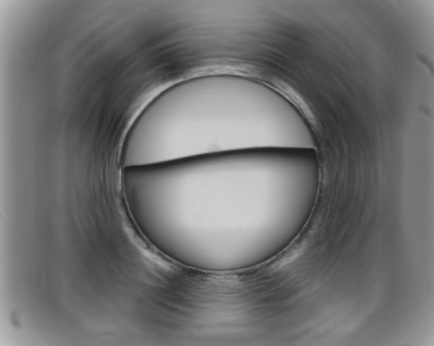 X0000099430844200805090725