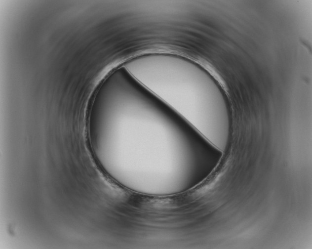 X0000099430845200805090725