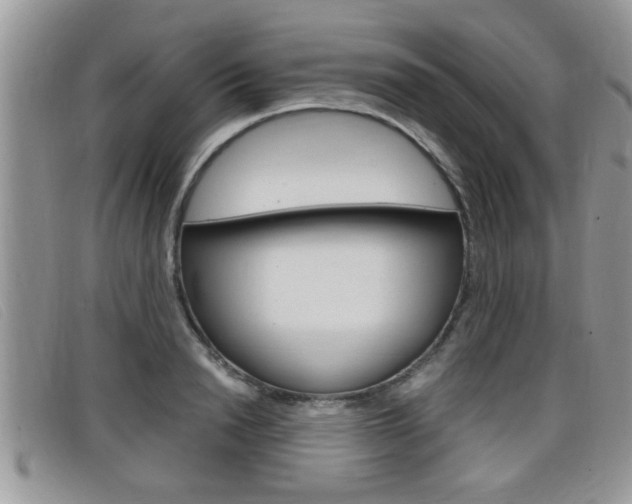 X0000099430846200805090725