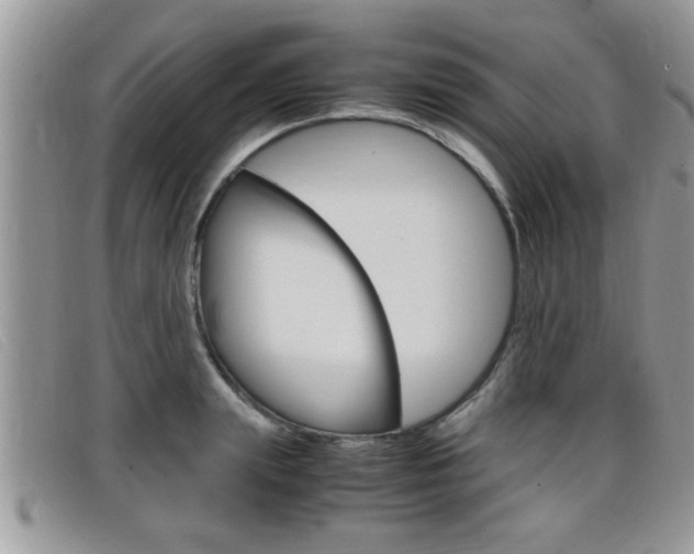 X0000099430847200805090725