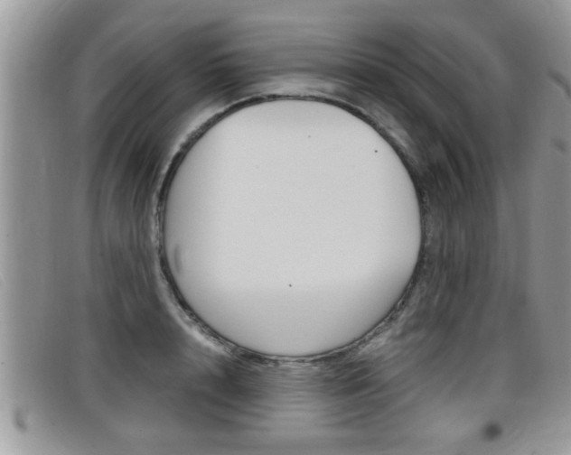 X0000099430848200805090725