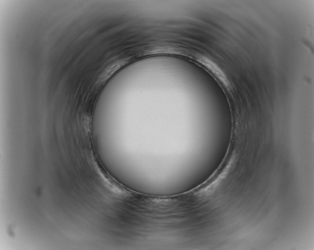X0000099430849200805090725