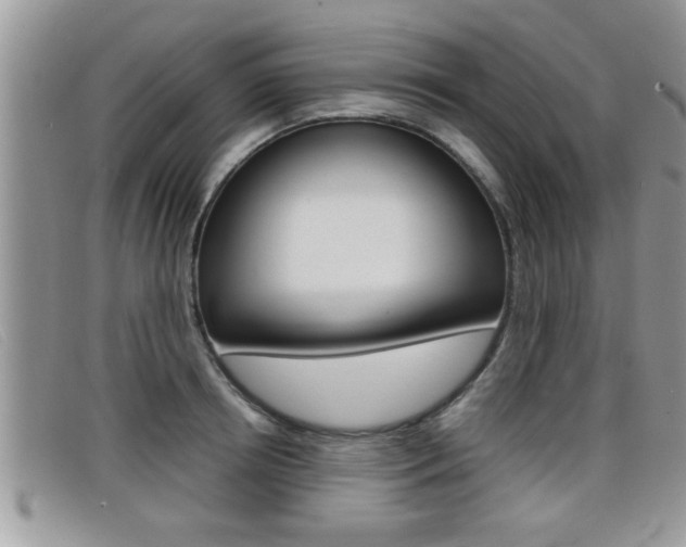 X0000099430850200805090725