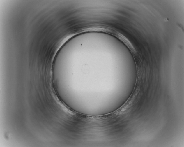 X0000099430852200805090725
