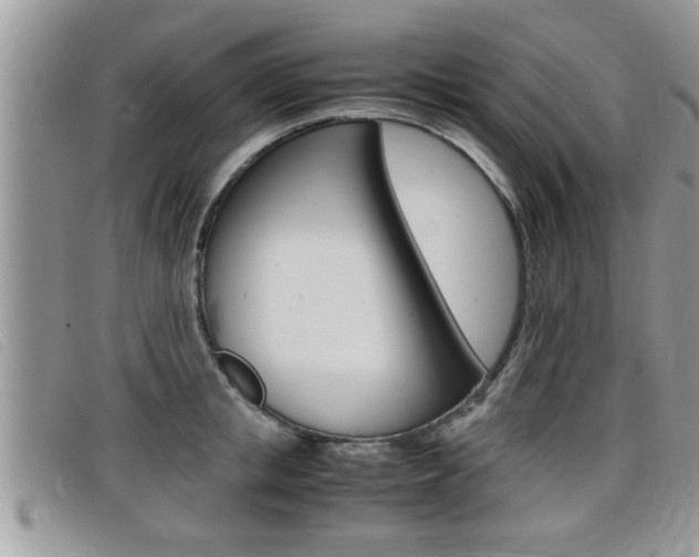 X0000099430853200805090725