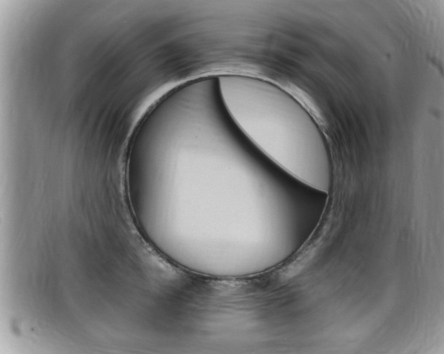 X0000099430854200805090725