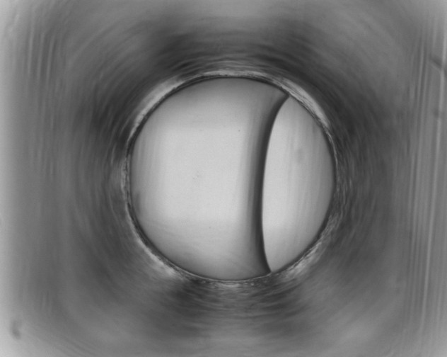 X0000099430855200805090725