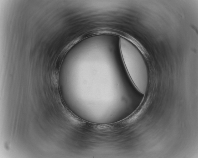 X0000099430857200805090725