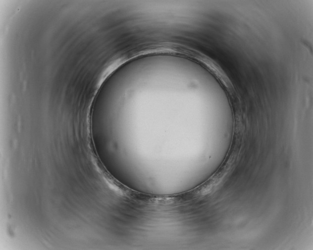 X0000099430858200805090725