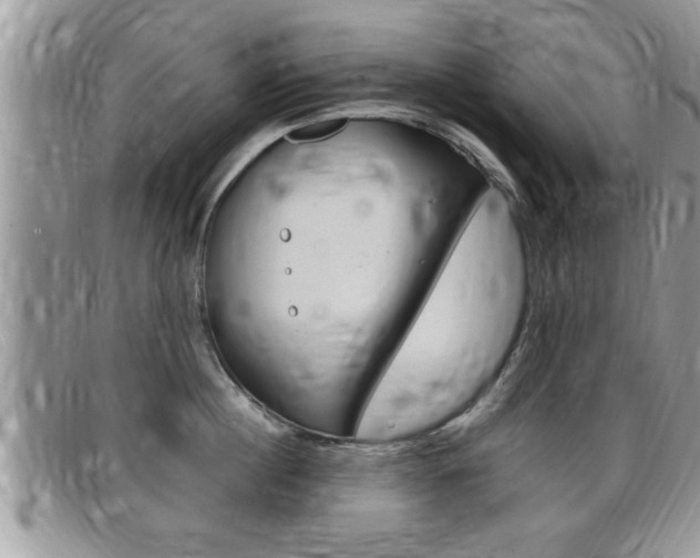 X0000099430860200805090725