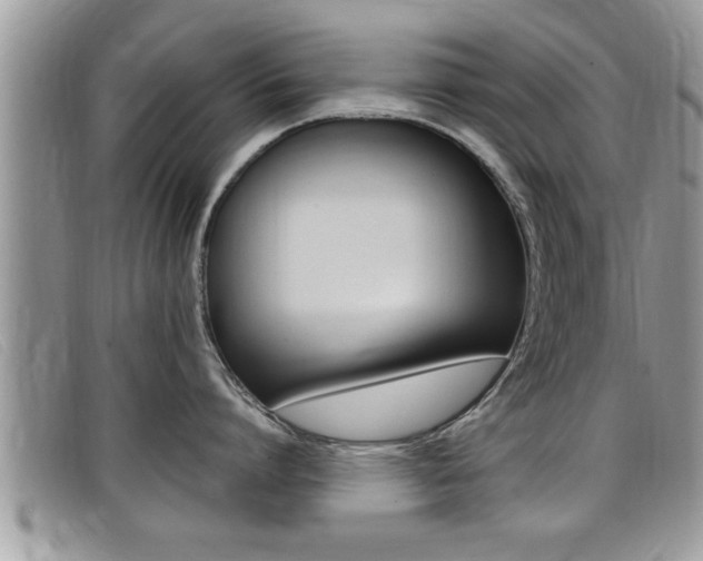 X0000099430864200805090725