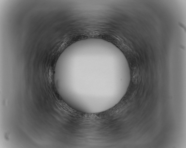 X0000099430866200805090724
