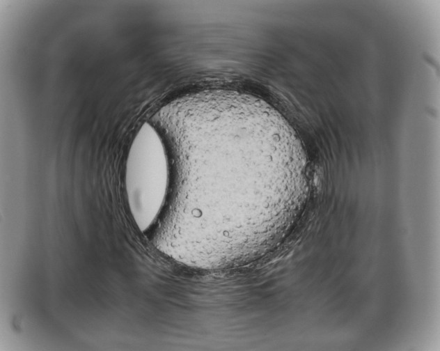 X0000099430867200805090724