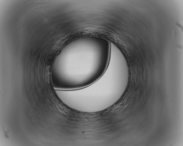 X0000099430868200805090724