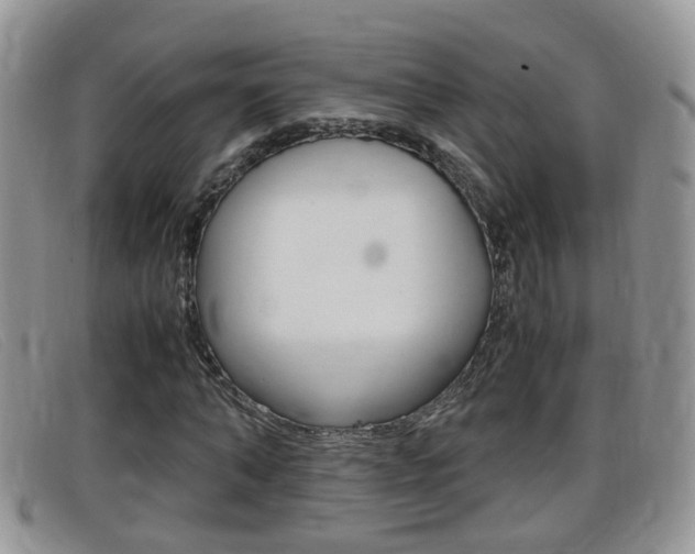 X0000099430870200805090724