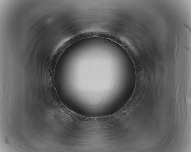 X0000099430872200805090724