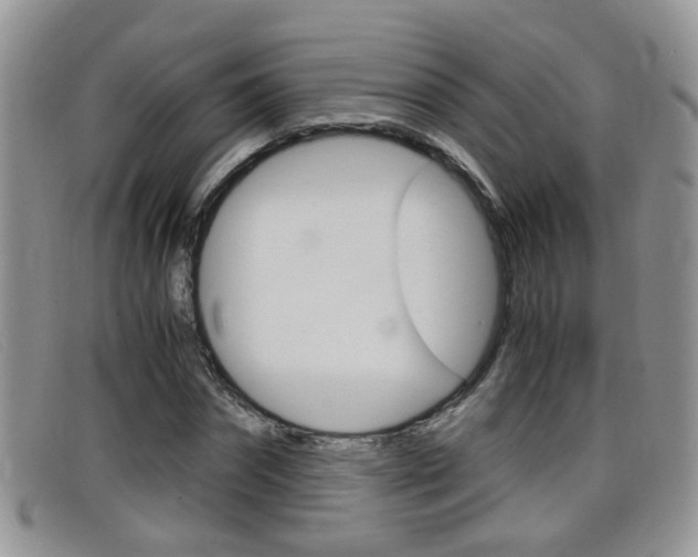 X0000099430874200805090724