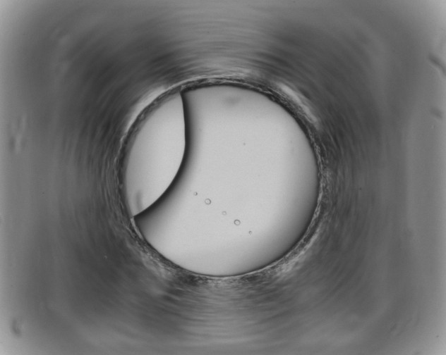 X0000099430875200805090724