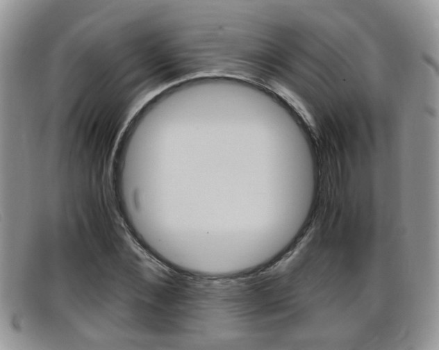 X0000099430876200805090724