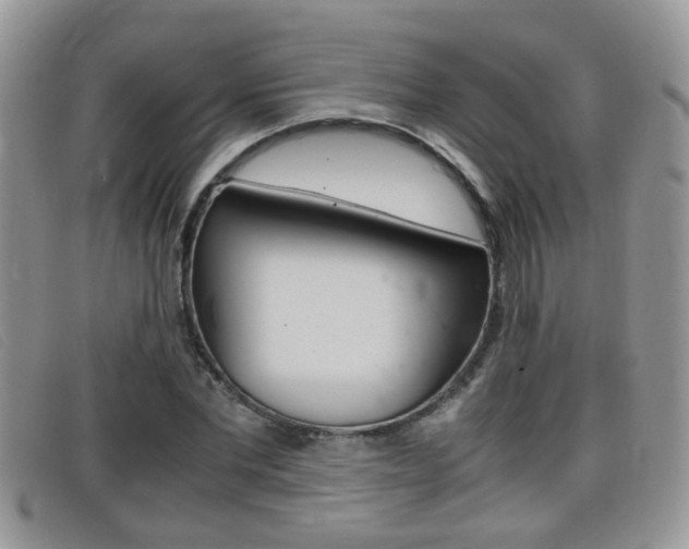 X0000099430877200805090724