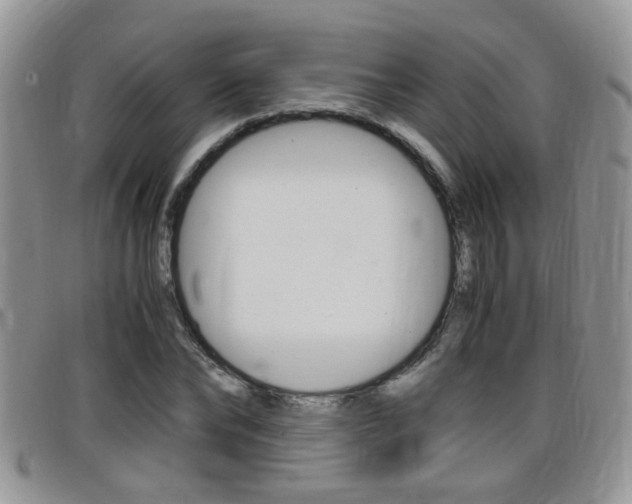 X0000099430878200805090724
