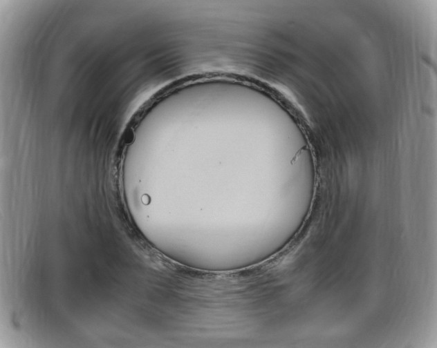 X0000099430879200805090724