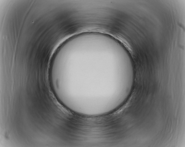 X0000099430880200805090724