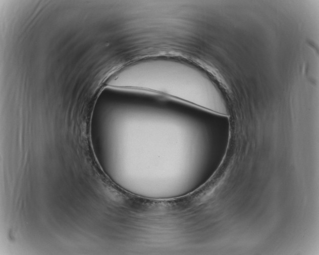 X0000099430881200805090724