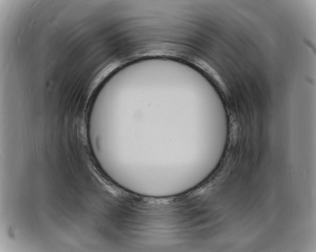 X0000099430882200805090724
