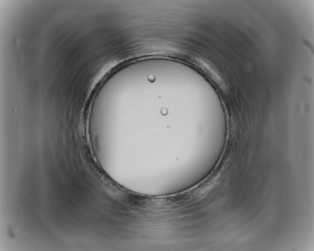 X0000099430883200805090724