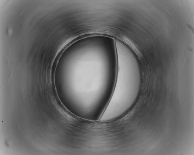 X0000099430884200805090724