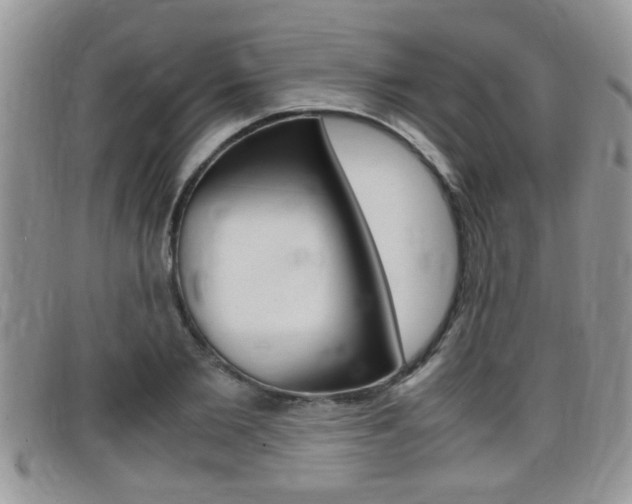 X0000099430885200805090724